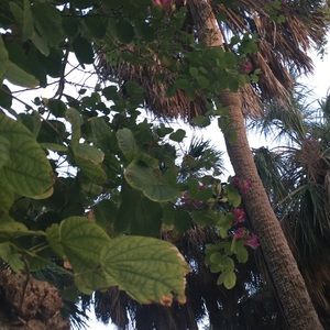 Meet your Posher, Val